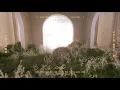 Download Lagu PIZZALI【指針 Compass】