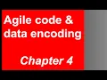 Chapter 4 - Agile code evolution data encoding