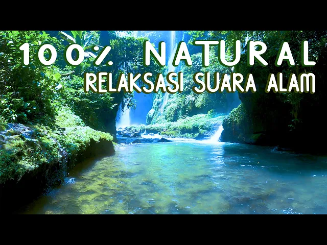 Download MP3 RELAKSASI SUARA ALAM KICAU BURUNG DAN GEMERCIK AIR TERJUN DI DALAM HUTAN