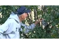 Mike the Mailman Postman Post-Retirement