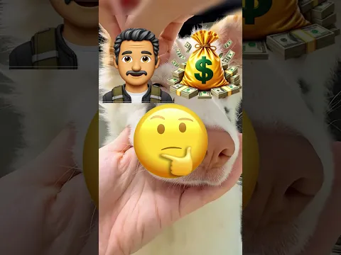 Cambió Por Completo Su Apariencia Para Halloween! 😱🐶#tiktok #mlb #puppy #aicat