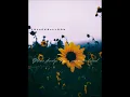 Download Lagu John Mayer - Your body is a wonderland(Acoustic + Lyrics)