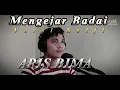 Download Lagu MENGEJAR BADAI Versi Selfi - By Aris Bima