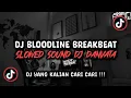Download Lagu DJ BLOODLINE BREAKBEAT SLOWED SOUND Dj Danvata VIRAL TIK TOK TERBARU 2025 !!!