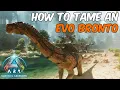 How To Tame an Evo Brontosaurus in ARK Survival Ascended Full Ability Guide