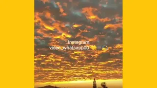 حالات واتس اب عمرو دياب جميله جدا 