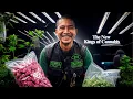 Inside Thailand s Booming Weed Industry Documentary