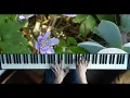 Nocturne op 9 No. 2 - Frederic Chopin played by Ch. Pawlowski (ver1)