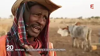 scandale au s n gal regarder cette vid o