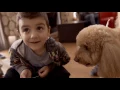 Dog Visitation Program at BCCH presented by PetSmart Charities of Canada
