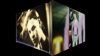 الدنيا ماشيه بظهرها احمد شيبه 