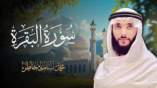سورة البقرة   تلاوة صباحية روحانية للقارئ الشيخ محمد أسامة                    دندنها