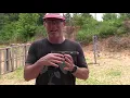 Taran Tactical Glock 34 Combat Master