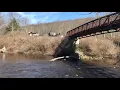 West Virginia Trout Stocking Blackwater River