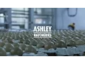 A Look Inside Ashley Hatcheries