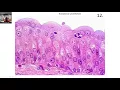 EPITHELIAL TISSUE Practice slides