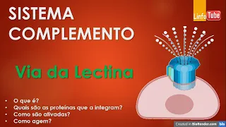 Sistema Complemento - Via da Lectina ligadora de manose