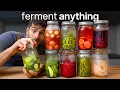 Lagu De meest nuttige fermentatiegids op internet