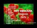 kumpulan lagu Ary Kencana terbaru