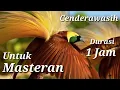 Download Lagu Masteran Burung Cenderawasih Super Gacor Untuk Isian.