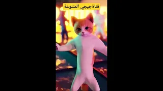 هاي هاي هاي    دندنها