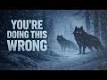 4 Mechanics You re Probably Ignoring - The Long Dark