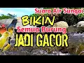 TERBUKTI AMPUH‼️ 1 Jam Auto Gacor - Terapi Suara Gemericik Air Sungai Bikin Burung Rajin Bunyi