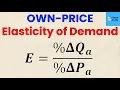 HOW TO Calculate the Own-Price Elasticity of Demand Economic Homework Think Econ