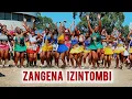 Download Lagu Zithi Iyodwa ingonyoma kaZulu