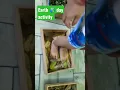Earth day activity l Sensory Walk