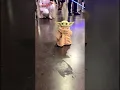Lagu Baby Yoda Walking Around Star Wars Celebration