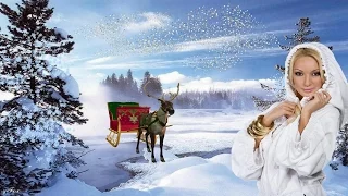 adnan zenunovic stani mladosti stani stani uzivo 