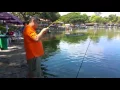 Tweety Bird rod with Silstar Tiny 20