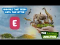 Animals That Start With E The Animal Junction