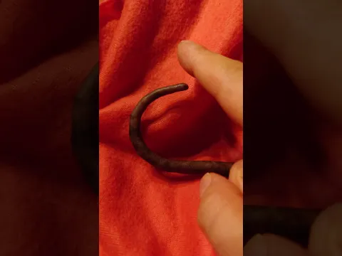 What Happens If I Touch It? 🤔 #shortvideo #cat #short
