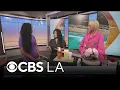 Dr Pimple Popper discusses the skin condition psoriasis and shares best products to treat it