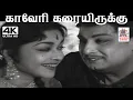 Lagu Kaveri Karaiyirukku T.M.சௌந்தர்ராஜன் P.சுசிலா பாடிய பாடல் காவேரி கரையிருக்கு