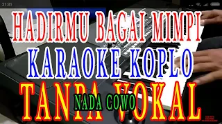 Download hadirmu bagai mimpi karaoke dangdut koplo tanpa vokal nada cowok MP3