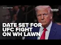 Download Lagu Trump announced White House lawn UFC fight will take place on his 80th birthday