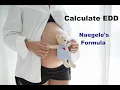 Calculate EDD Naegele s Formula Nursing Lecture