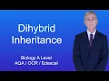 A Level Biology Revision Year 13 Dihybrid Inheritance