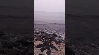 امسي على هم واصبح لاجلك بهمي 2025 HD 