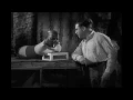 "Freaks": A Hommage to Full Authenticity