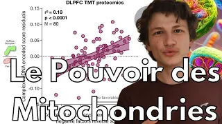 les mitochondries pour le bien être (nouvelle étude clinique !).