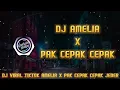 Download Lagu DJ AMELIA X PAK CEPAK JEDAR FULL BASS🔊 New remix terbaru (Mohammad Afriski) !! 🎵