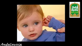 48 برنامج الأندلسية شرح المرحلة الثالثة 