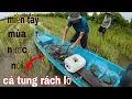 Download Lagu Đặt lờ cá lóc trên đồng nước nổi - vũ heo
