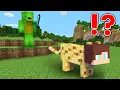 Download Lagu Speedrunner vs. Hunter, But You Can Shapeshift - Minecraft