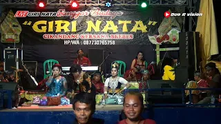 Download Jaipong Carecet Beureum | Giri Nata | Cicadas Cikeusal MP3