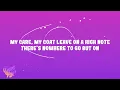 Feist - My Moon My Man